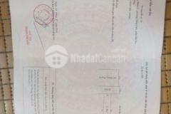 Mặt đường trung lực vị trí cực đẹp chỉ 85 trm