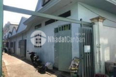 Cần bán khu đất có 30 căn nhà trọ đang kinh doanh