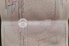 Hơn 2 tỷ có lô chu mẫu vân dương giáp kdt him lam