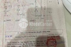 Nhà 2 mặt tiền 5x20 bốn lầu dường số 10 f bhh bình