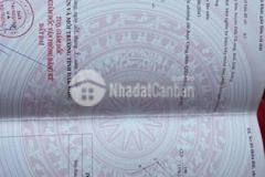 Chính chủ cần bán 1300m2 đất quảng sơn giá 550tr