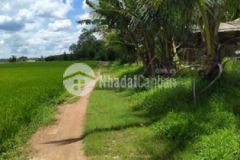 Bán thu hồi 2 3ha đất mt dài 190m cho ac đầu tư