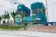 Shizen nami căn hộ mặt biển sở hữu lâu dài giá rẻ