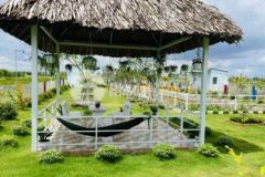 Đất nhà vươn giá rẻ 1000m2 thủ thừa long an