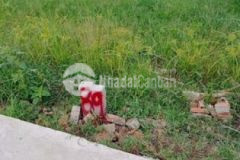 Đất nền thị xã gò công bán rẻ khỏi trả giá