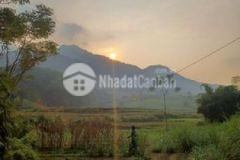 Bán 4 ha đất bám đường nhưa 40 m