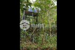 Đất khu dân cư đặng thái thân p3 đà lạt lâm đồg