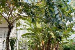 Nền đẹp đường b2 hưng phú cần thơ