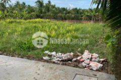 Cần bán 3 nền liền kề gần bệnh viện mới