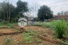 Hơn 1 tỷ xíu có ngay lô đất 128m2 tại phú cát, cách ubnd xã, trường c1,c2 và chợ khoảng 500m