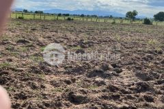 Bán lô đất odt giá 1 tỷ 300tr ngay bãi biển