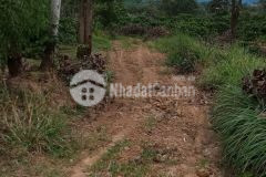 Đất eakar đắc lắc, mt đường 130m, bám suối,trồng sẵn nhiều ca phê, gỗ quý gần ql,67trsào