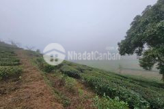 Đất nền mộc châu, vị trí đắc địa, tiềm năng tăng giá tốt