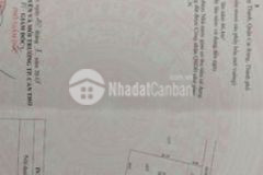 Lô đất ở dạng biệt thự hẻm xe hơi gần full thổ