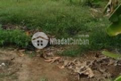 Nền diêu trì cung hẻm ô tô chợ thành triệu ngoài