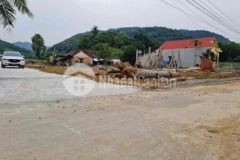 Dưới 300tr1lô thạch thành thanh hoá dân cư đông