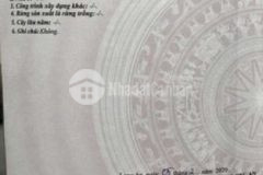 Đất thổ cư 100 m2 khu dân cư đông đúc