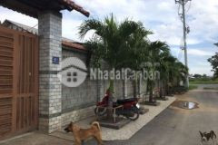 Bán nhà vườn ấp 1 tân thạnh đông củ chi