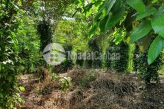 Bán đất thổ cư di linh lâm đồng