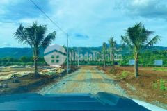 Đất thổ trung tâm lộc thành ql 55 400m2 1 6 tỷ