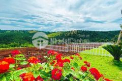 Đất nền sổ sẵn bảo lộc