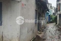 Nhà cấp bốn 566 nguyễn thái sơn 36m2