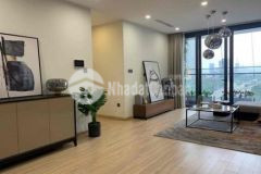 Bán căn hộ t28 the summit 216 trần duy hưng 3n2wc