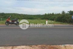 Đất thổ cư mặt tiền nhựa lớn cẩm an