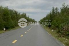 Đất mặt tiền dt 818 cách việt phát 1km