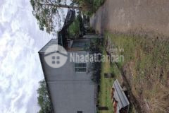 Bán đất bãi bồi chủ bao cất nhà