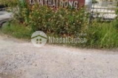 Cần ban đất xã an thái dong