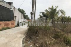 3 mặt tiền 60x60m có 800m ont lê minh công lagi