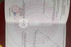 Bán đất cao phong hòa bình dt 2028m2 2000m thổ cư