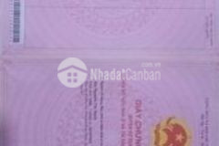 Đất lúa không quy hoạch cần giuộc 370tr