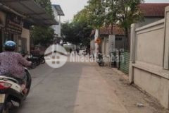 Bán đất ứng hoà phúc tiến phú xuyên giá cắt lỗ