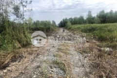 535m2 đất vườn chỉ 399tr bình đức bến lức đường 4m