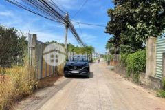 Vườn bưởi tâm huyết đường vào hồ câu quốc thịnh