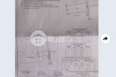 Bán đất xã bình khánh cần giờ