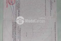 Bán đất huyện cần giờ tphcm