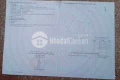 Bán lô đất mặt tiền đường huyện cần giờ tphcm