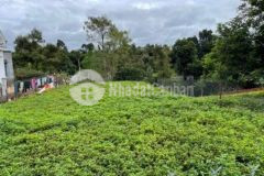 Nợ nh cần ra gấp đất hẻm 146 nguyễn chí thanh