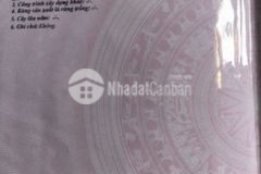 Bán 3 100 m2 đất đôn xuân duyên hải trà vinh