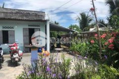 Ngộp lắm rồi 484m2 full thổ chỉ 530tr ninh xuân nh