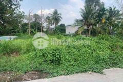 1100m2 đất phường phú thọ xây nhà vườn cực kì đẹp