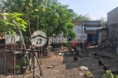 Đất chính chủ ngang 10x15 3 thổ cư xdung hc ngay