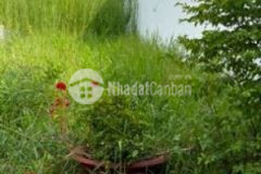 Đất hương lộ 11 4 5 x19 tân quý tây bình chánh