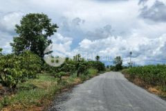 Chính chủ bán rẻ 1 2 sào đất view đẹp đambri blộc