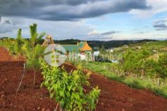 Chính chủ bán đất thổ cư dt 1 100m2 đambri giá tốt