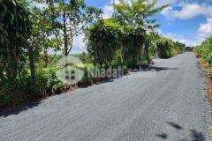 Bán gấp lô đất thổ cư 7 5 sào đambri bl giá tốt