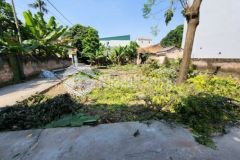 Đất lô góc 41 3m2 ngõ thông ô tô vào biên giang